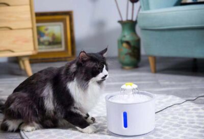 猫 犬 給水器 水飲み器 自動給水器 ペット 自動 水飲み 給水 水 給水機 自動給水機 自動水やり器 浄水器 みずのみ器 みずのみ 自動給水 2.4L大容量  LEDライト付き 猫用 ねこ ネコ いぬ 循環式 超静音 省エネ 健康 衛生 日本語説明書付き おしゃれ